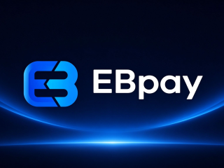 在EBpay挂单出售没收到钱就放币了怎么办？该如何解决