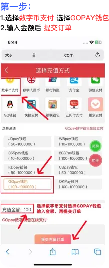 GoPay 平台充值教程：到账核验与账户安全步骤 1